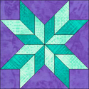 Double Star variation quilt block www.dlstewart.com